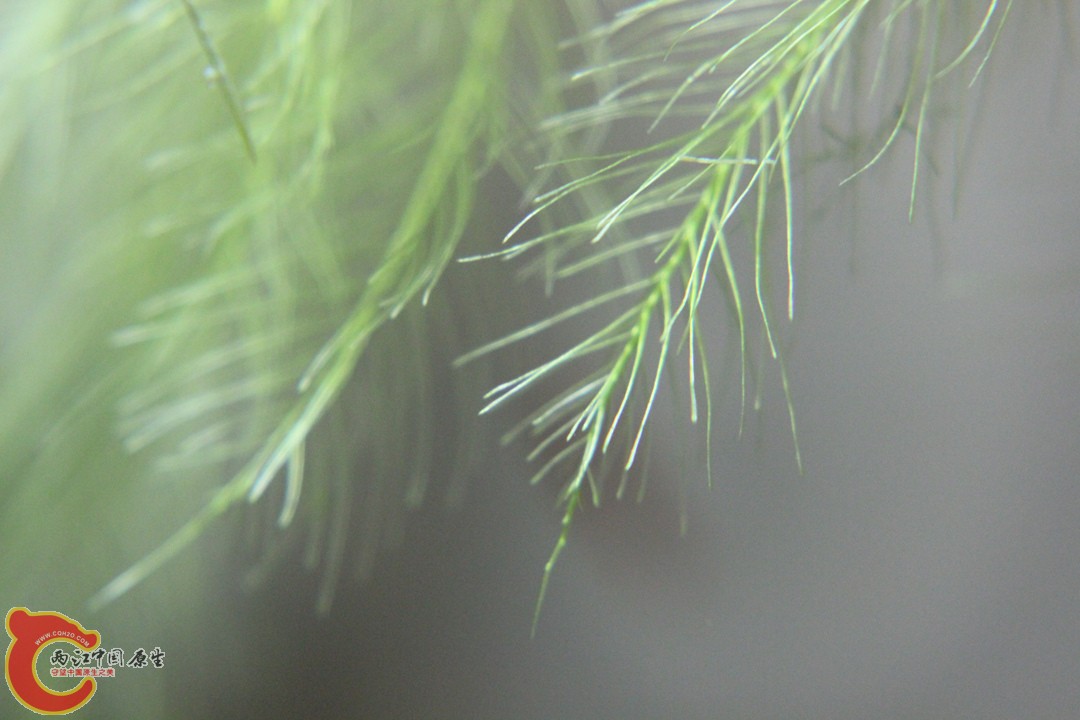 IMG_9354_副本.jpg
