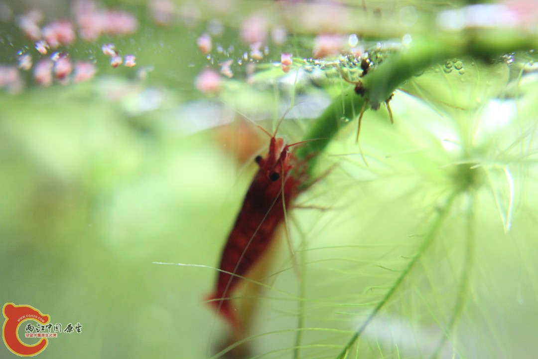 IMG_9399_副本.jpg