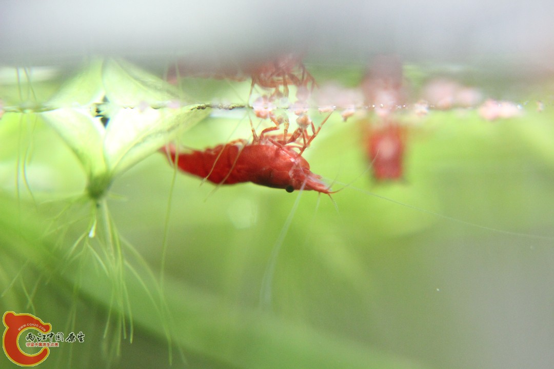 IMG_9421_副本.jpg