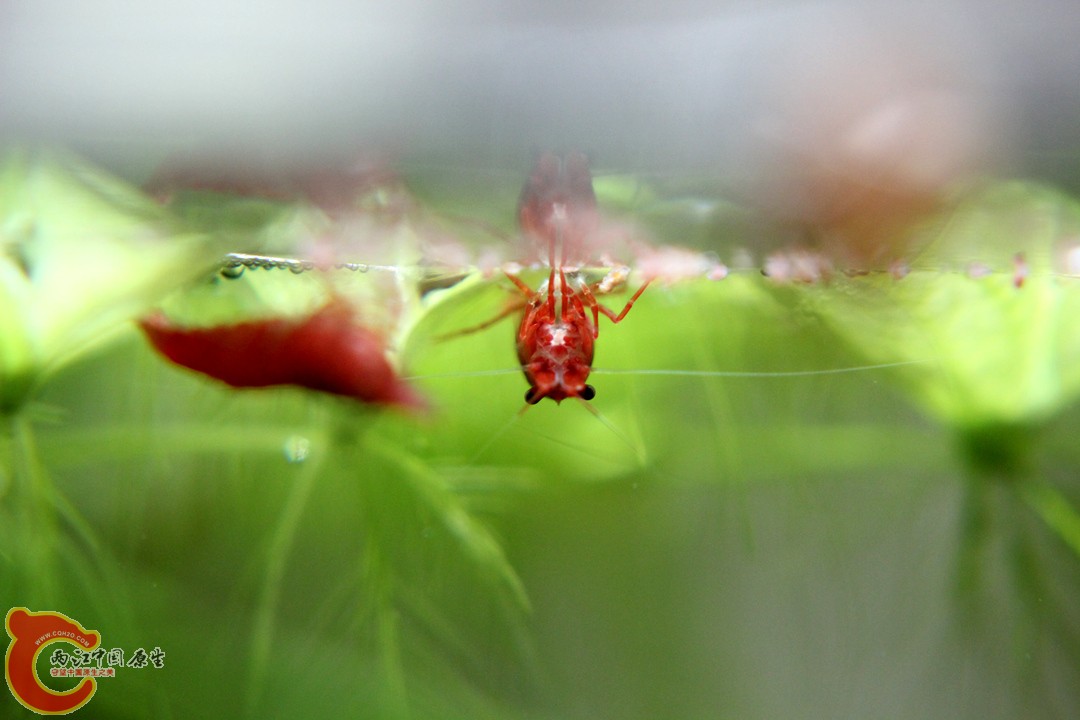 IMG_9422_副本.jpg
