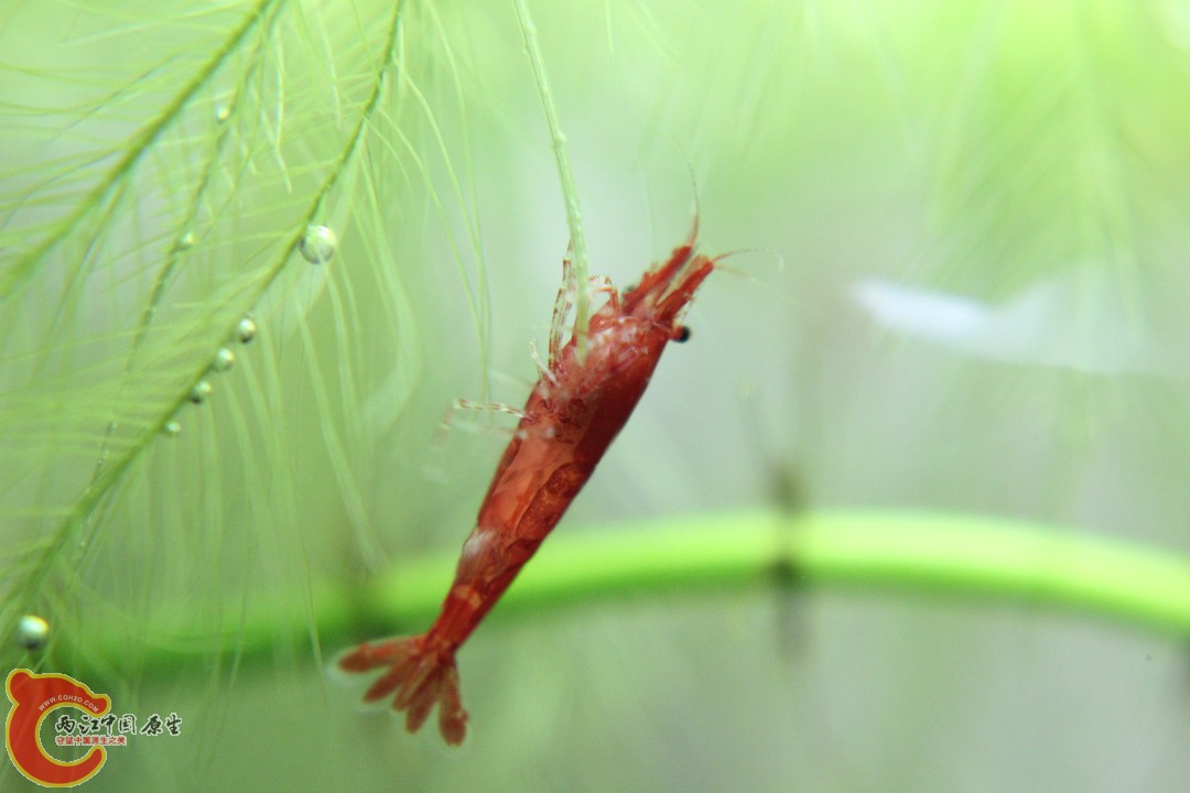 IMG_9469_副本.jpg
