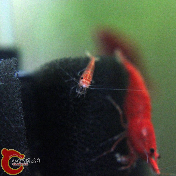 IMG_9210_副本.jpg