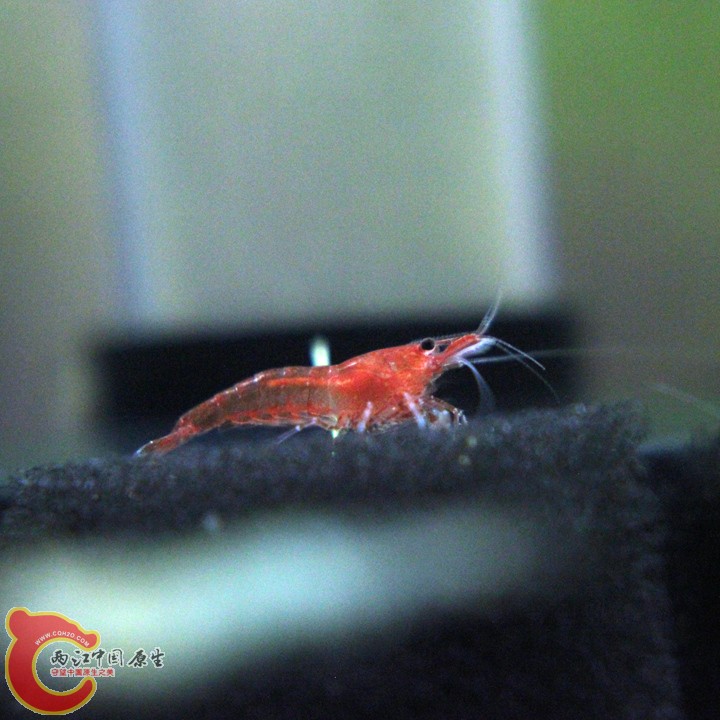 IMG_9211_副本.jpg