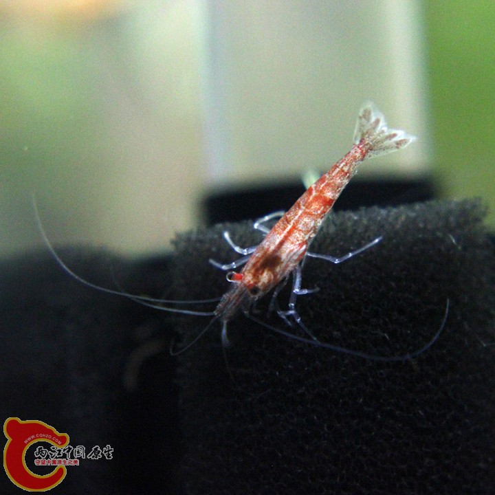 IMG_9227_副本.jpg