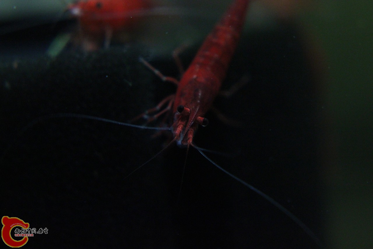 IMG_9390_副本.jpg