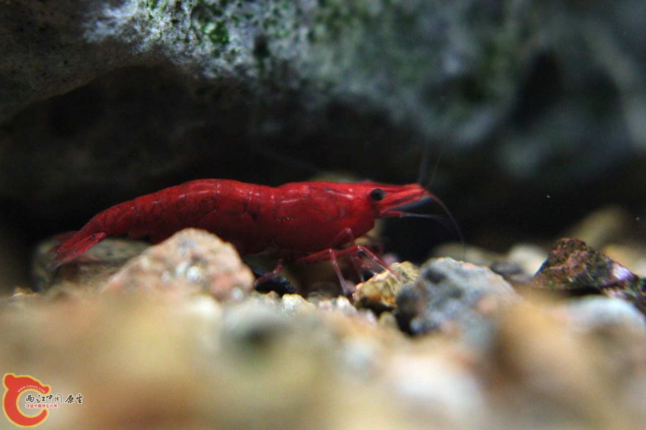 IMG_9397_副本.jpg