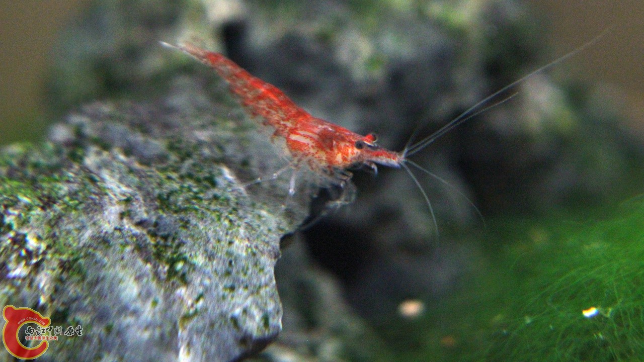 IMG_9419_副本.jpg