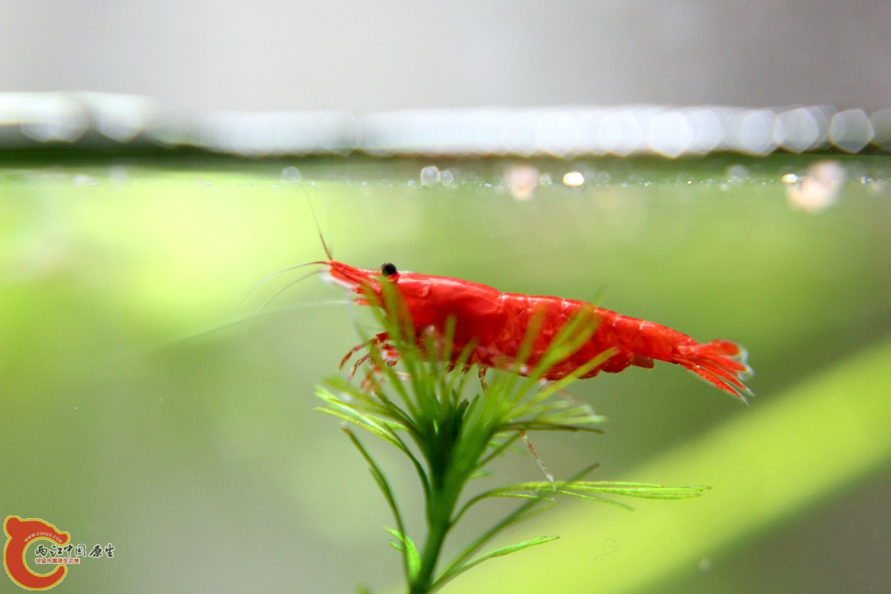 IMG_9436_副本.jpg