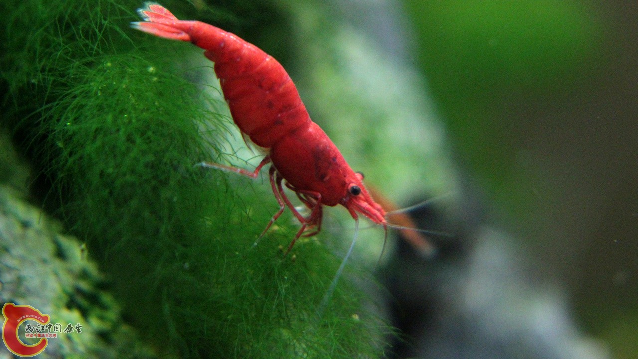 IMG_9466_副本.jpg