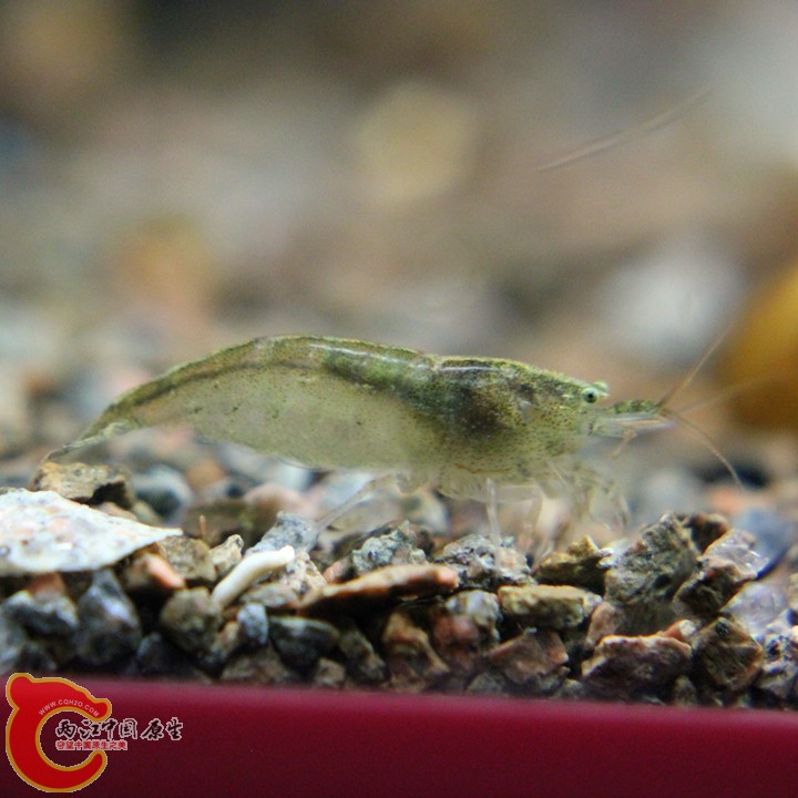 IMG_9260_副本.jpg