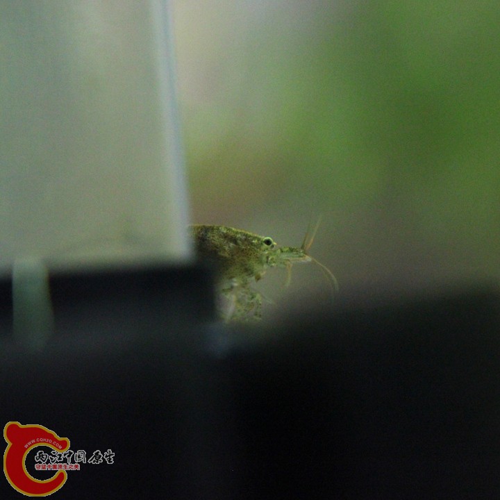 IMG_9263_副本.jpg