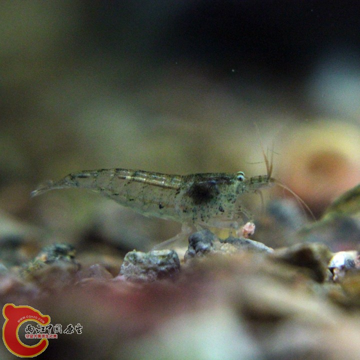 IMG_9398_副本.jpg