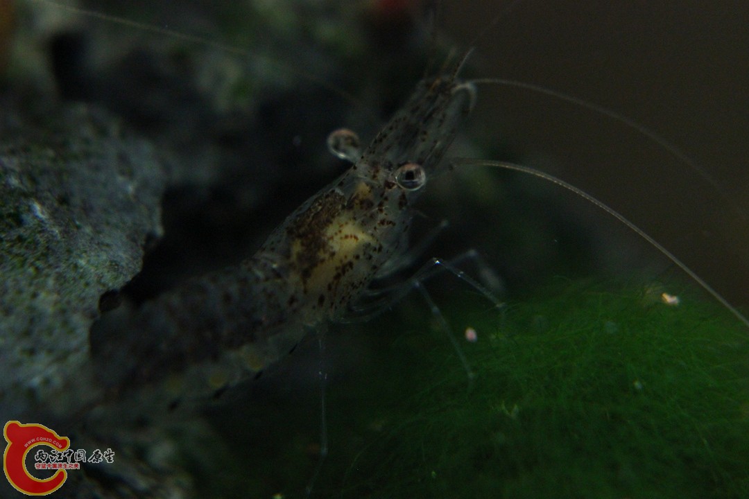 IMG_9380_副本.jpg
