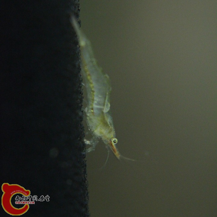 IMG_9365_副本.jpg
