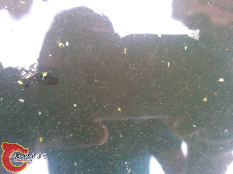 27260659.jpg