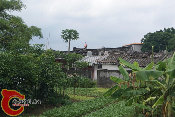 04.jpg