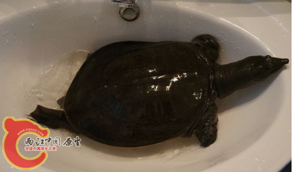 QQ截图20130728103120.jpg