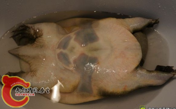 QQ截图20130728103112.jpg