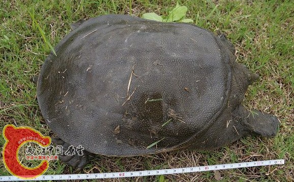 QQ截图20130728103039.jpg