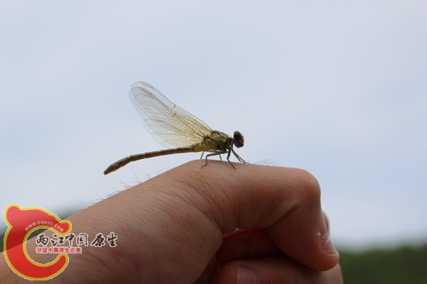 IMG_2571.JPG