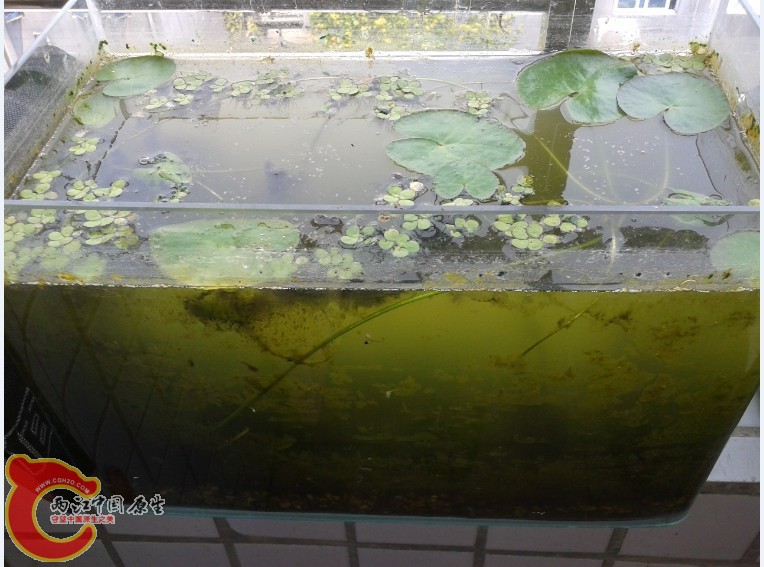 VAZKA8J4KI7YLQID$QRHE9G.jpg VAZKA8J4KI7YLQID$QRHE9G.jpg