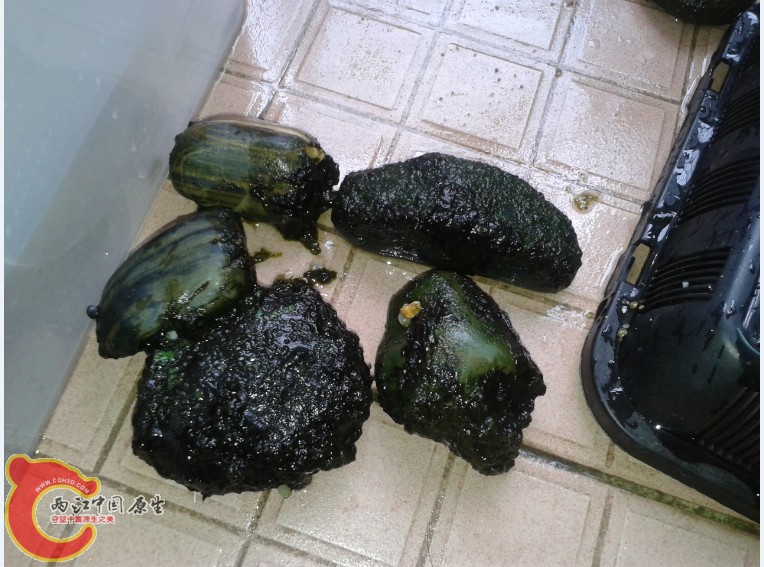 QN5XAO{NT(FP{J$@SW_37TI.jpg QN5XAO{NT(FP{J$@SW_37TI.jpg