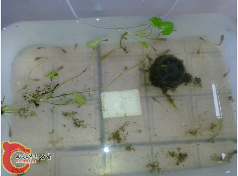 IUPWXW}YEU1%SQP7J2Z$MGL.jpg IUPWXW}YEU1%SQP7J2Z$MGL.jpg