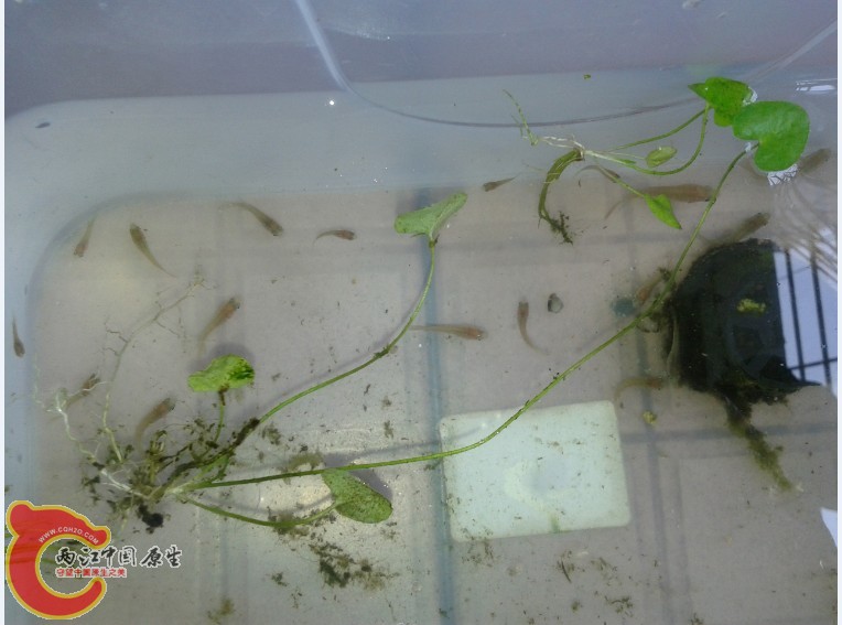 C%3H7Q_X(X57C)MS)1Z2V@8.jpg C%3H7Q_X(X57C)MS)1Z2V@8.jpg