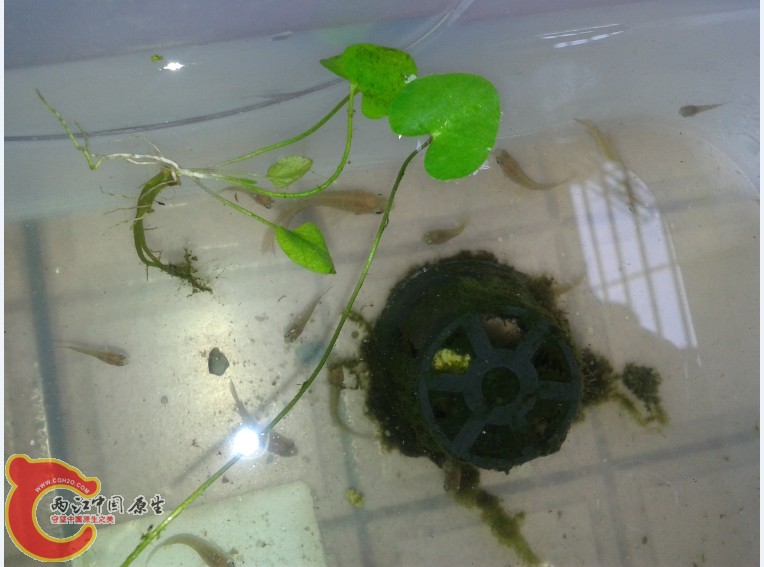 6W3IU`LLC@F0~V}EZTLS){F.jpg 6W3IU`LLC@F0~V}EZTLS){F.jpg