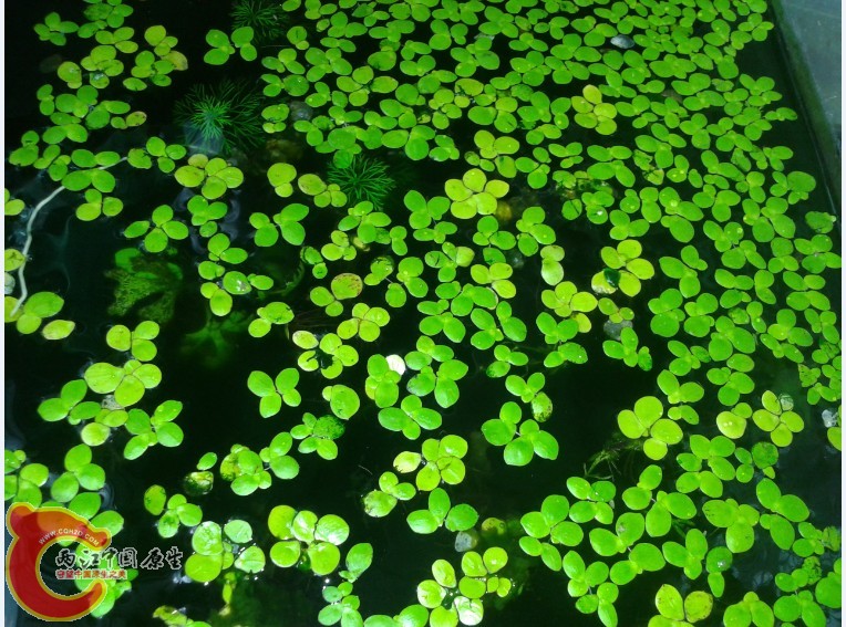 KP9PL0Y}1XLCFL71G(WU_GF.jpg KP9PL0Y}1XLCFL71G(WU_GF.jpg