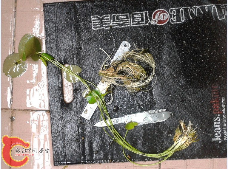 )[V}KC635S6WFQA1)N2R0WW.jpg )[V}KC635S6WFQA1)N2R0WW.jpg