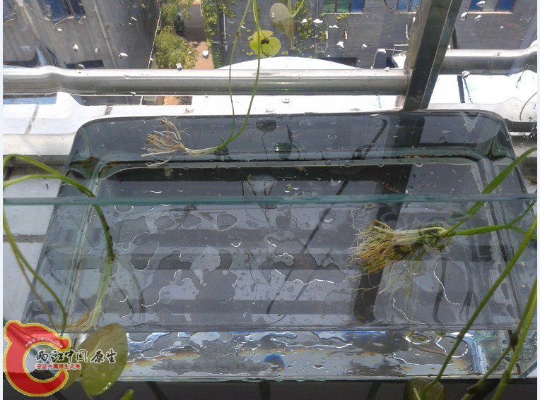 9ZOI02M5@O2XWPIO4`~CTJ3.jpg 9ZOI02M5@O2XWPIO4`~CTJ3.jpg