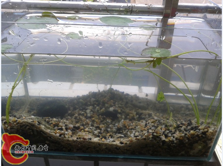 94FWCBC5$O`7NC5%Y0W}Q7R.jpg 94FWCBC5$O`7NC5%Y0W}Q7R.jpg