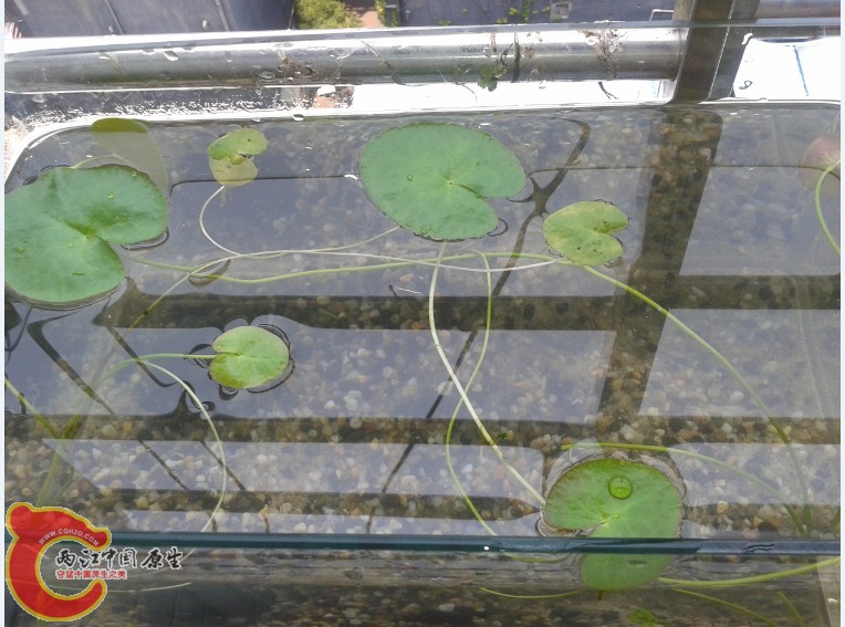 VX~LJGNU1W77`S%G_L5))@X.jpg VX~LJGNU1W77`S%G_L5))@X.jpg