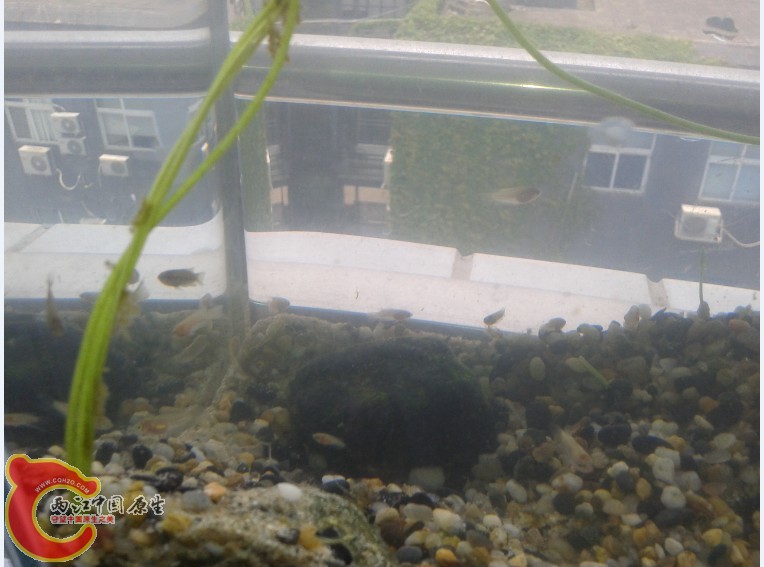 6WX8O2J(YYBFZEBTLNILXWH.jpg 6WX8O2J(YYBFZEBTLNILXWH.jpg