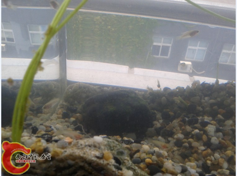 }P0DOLD(DOP3M4LL1TWBERW.jpg }P0DOLD(DOP3M4LL1TWBERW.jpg