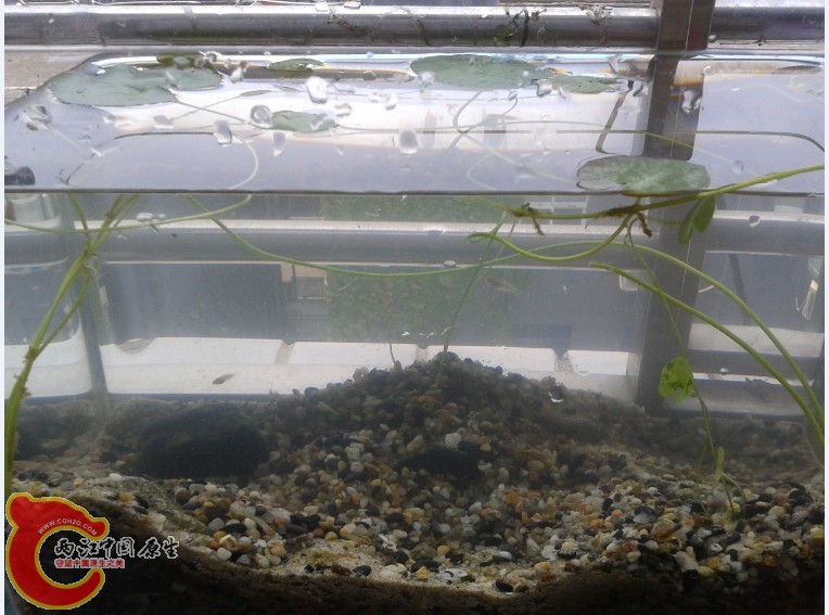 [9{WPD6_I1I7G)UUC4RGPC4.jpg [9{WPD6_I1I7G)UUC4RGPC4.jpg