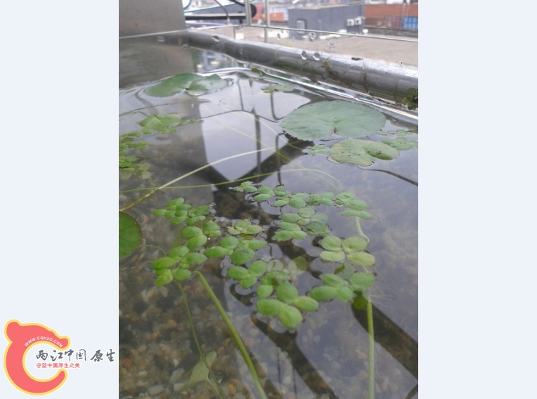 }_BK%SWCRAASFS9C5{0@N)6.jpg }_BK%SWCRAASFS9C5{0@N)6.jpg