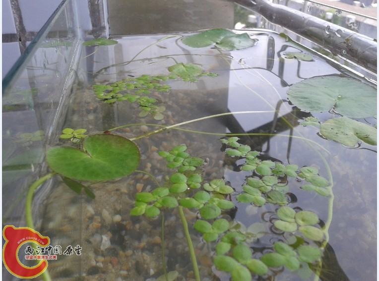 %ZGQ5CRRVGVZ09~U10R8_P4.jpg %ZGQ5CRRVGVZ09~U10R8_P4.jpg