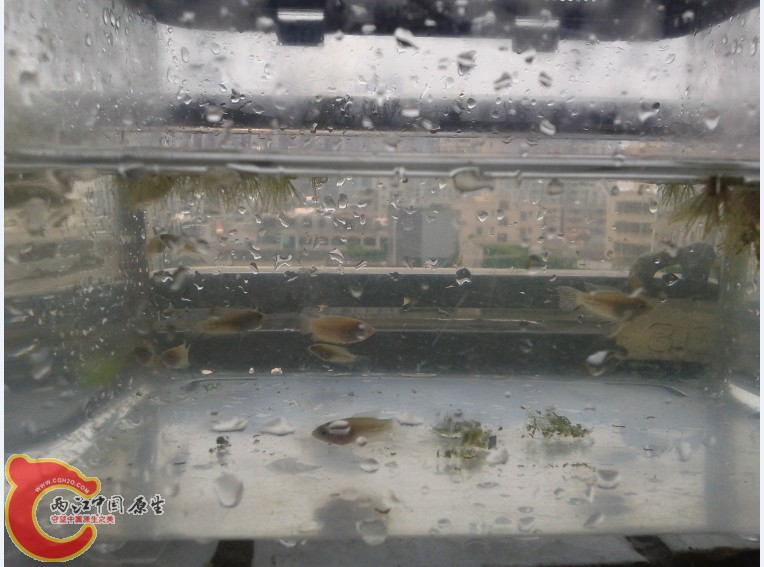 }%EME@IT`%K3CJEK[)D%I_8.jpg }%EME@IT`%K3CJEK[)D%I_8.jpg