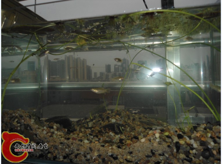 ~H[IEXOSMM9L~D1LI`H$($I.jpg ~H[IEXOSMM9L~D1LI`H$($I.jpg