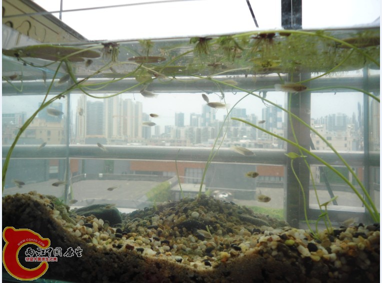 NX[$M58[V}JVJUM~JL@X(6I.jpg NX[$M58[V}JVJUM~JL@X(6I.jpg