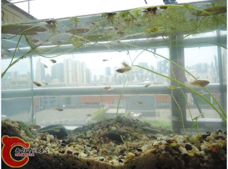 U1DZ4YRQ3O)~RU1S(~R9[35.jpg U1DZ4YRQ3O)~RU1S(~R9[35.jpg