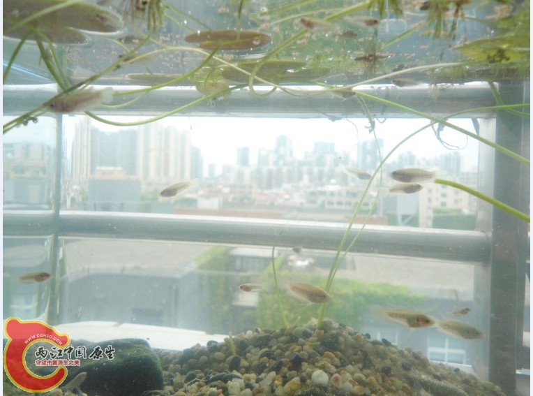 $~9)_[NJMRY8LYN}0_ZK3`E.jpg $~9)_[NJMRY8LYN}0_ZK3`E.jpg