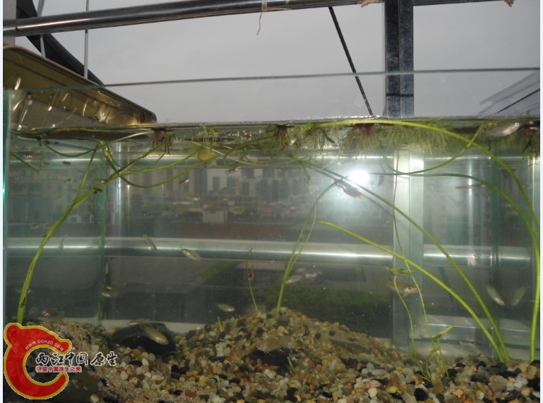 LYSVU{43B(H{)BC8)[UMQOO.jpg LYSVU{43B(H{)BC8)[UMQOO.jpg