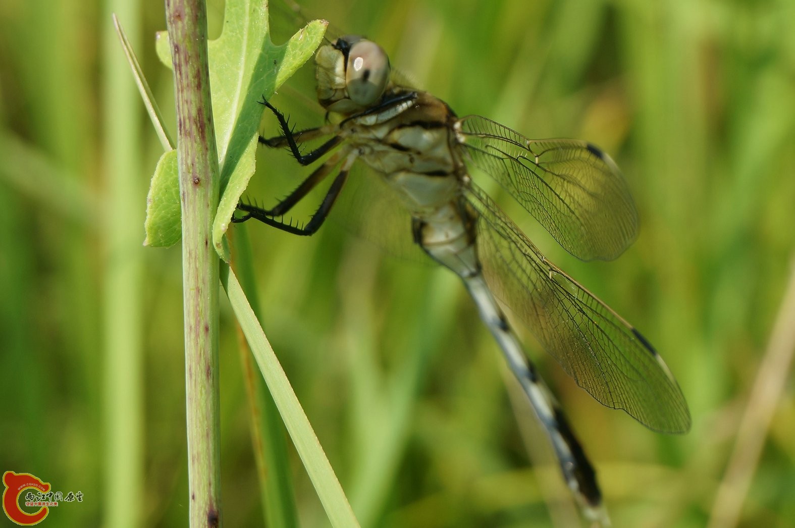20130728-117.JPG