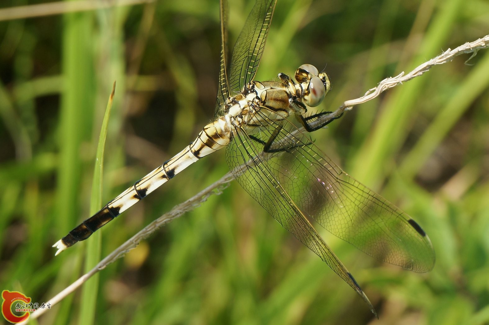 20130728-120.JPG