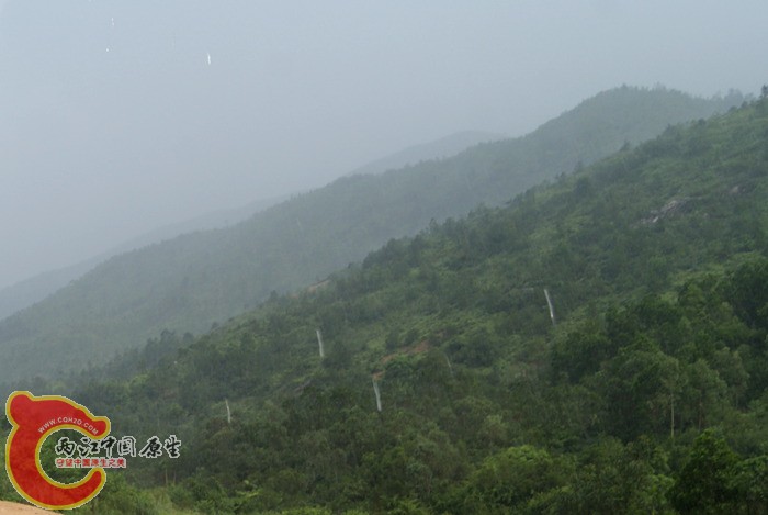 05.jpg