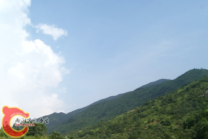 08.jpg