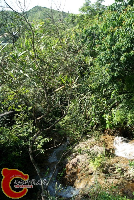 06.jpg